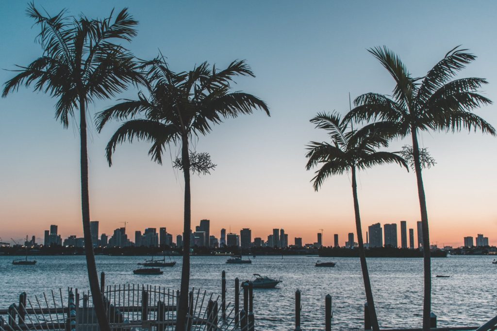 alt txt = "Sunset surrounded by palm trees and ocean with a skyline of buildings."