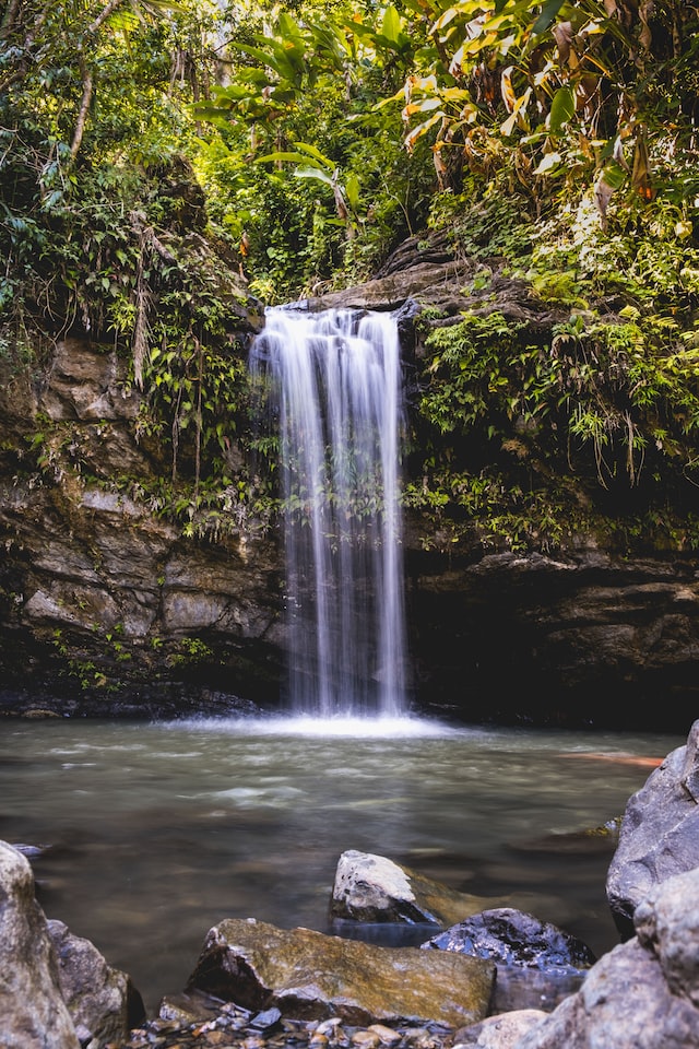 alt txt = "Flowing waterfall in El Yunque Rainforest."