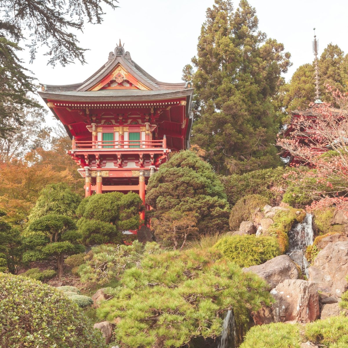 Guide to Visiting the Japanese Tea Garden in San Francisco