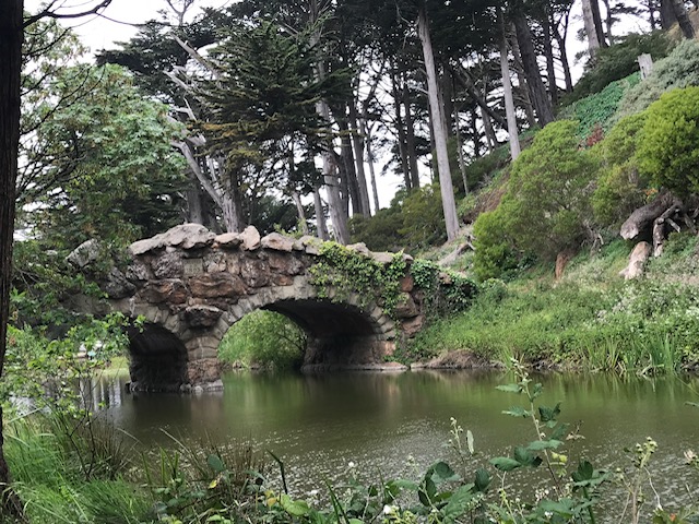 alt txt = "Vegetation, bridge, and pond in the Japanese Tea Garden in San Francisco."