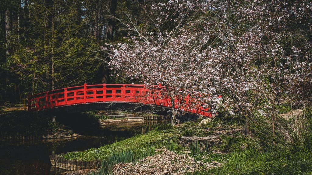 alt txt = "Red bridge overpass surrounded by flowers and greenery at Sarah P. Dukes Gardens day trips from Raleigh".