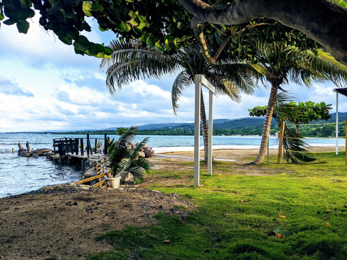 alt txt = "Water surrounded by vibrant green trees, green grass and clear blue skies in Negril Jamaica".