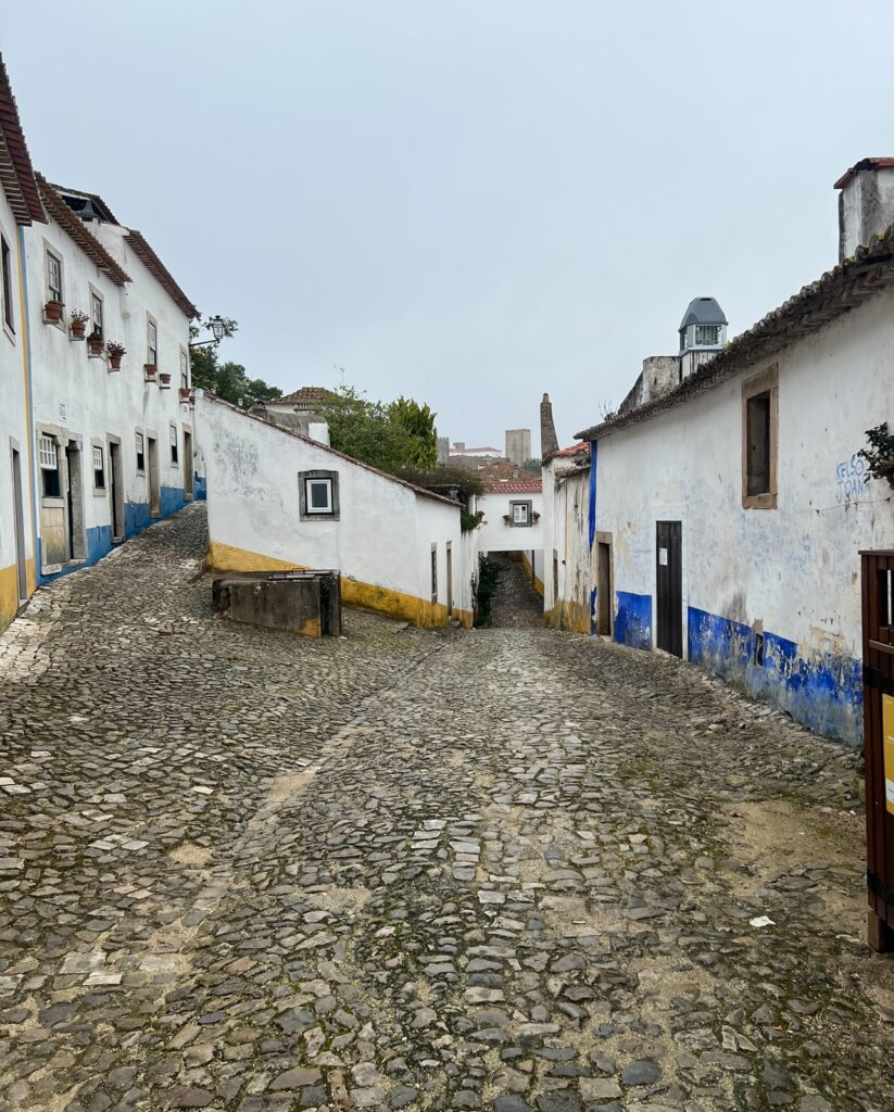 alt txt = "White concrete buildings in quaint village".