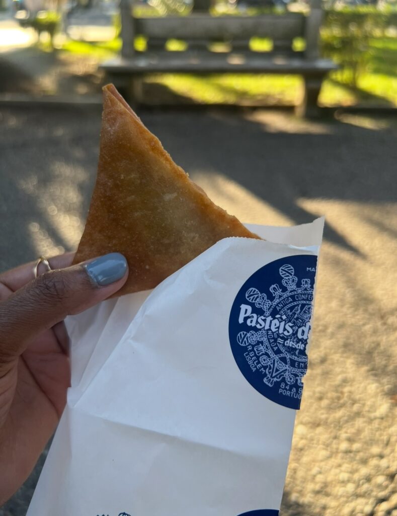 alt txt = "Meat filled pastry".
