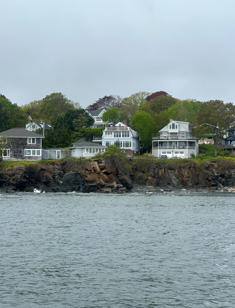 Row of charming coastal homes perched on a rocky shoreline surrounded by lush green trees. The water in the foreground is calm and gray, reflecting the overcast sky above.